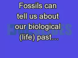 Fossils can tell us about our biological (life) past…