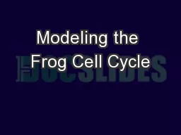Modeling the Frog Cell Cycle