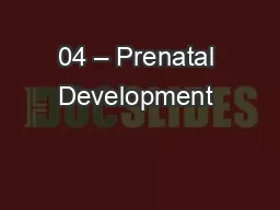 04 – Prenatal Development & Birth