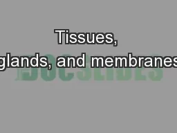 Tissues, glands, and membranes