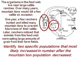 The organisms in the food web live near large cattle