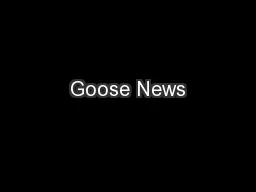 Goose News