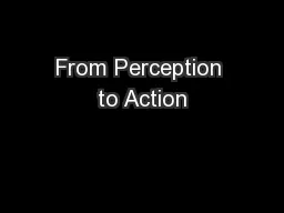 From Perception to Action