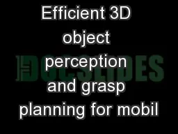 Efficient 3D object perception and grasp planning for mobil
