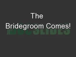 The Bridegroom Comes!
