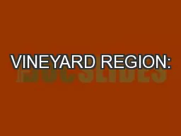 VINEYARD REGION: