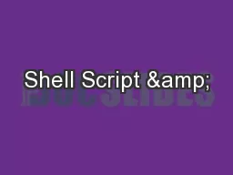 Shell Script &