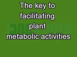 The key to facilitating plant metabolic activities