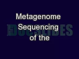 Metagenome Sequencing of the
