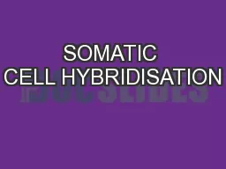 SOMATIC CELL HYBRIDISATION