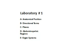 A-  Anatomical Position