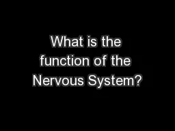 What is the function of the Nervous System?