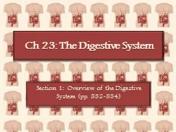 Ch  23: The Digestive System