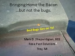 Bringing Home the Bacon