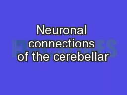 Neuronal connections of the cerebellar