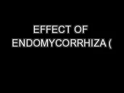 EFFECT OF ENDOMYCORRHIZA (