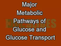 Major Metabolic Pathways of Glucose and Glucose Transport