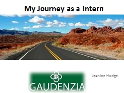 My Journey as a Intern
