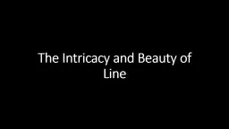 The Intricacy and Beauty of Line