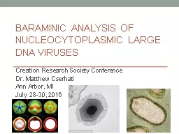 Baraminic analysis of Nucleocytoplasmic Large DNA viruses