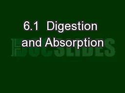 6.1  Digestion and Absorption