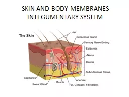 SKIN AND BODY MEMBRANES