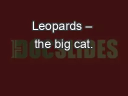 Leopards – the big cat.