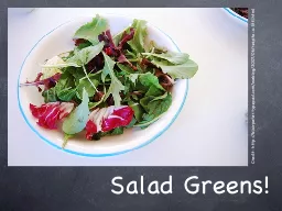 Salad Greens!