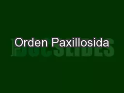 Orden Paxillosida
