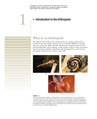 What Is an Arthropod The subjects of this book are the