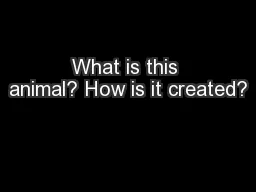 What is this animal? How is it created?