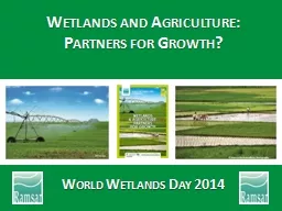 Wetlands and Agriculture: