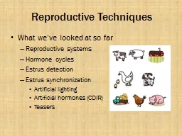 Reproductive Techniques