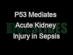 P53 Mediates Acute Kidney Injury in Sepsis