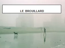 LE  BROUILLARD