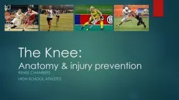 The Knee: