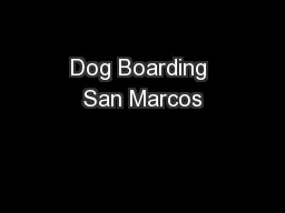 Dog Boarding San Marcos