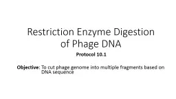Restriction Enzyme Digestion of Phage DNA