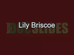 Lily Briscoe