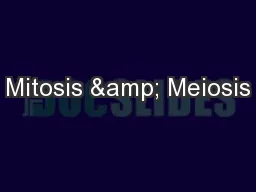 Mitosis & Meiosis