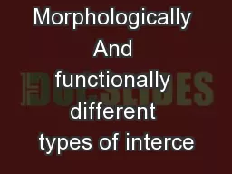 Morphologically And functionally different types of interce
