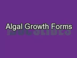 Algal Growth Forms