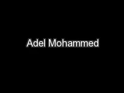 Adel Mohammed