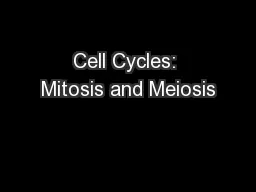 Cell Cycles: Mitosis and Meiosis