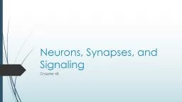 Neurons, Synapses, and Signaling