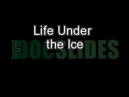 Life Under the Ice