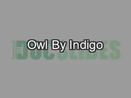 Owl By Indigo