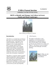 NAFR USDA Forest Service Northeastern Area State  Priv