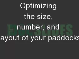 Optimizing the size, number, and layout of your paddocks