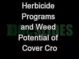 Burndown Herbicide Programs and Weed Potential of Cover Cro